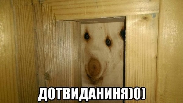 1470638197124567414