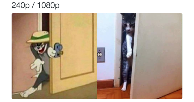 1474955354168438462