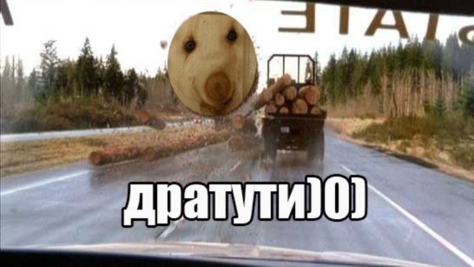 Дратути, дратути мем, дратути шаблон, дратути фото, дратути картинка, что за прикол с дратути, дратути собака
