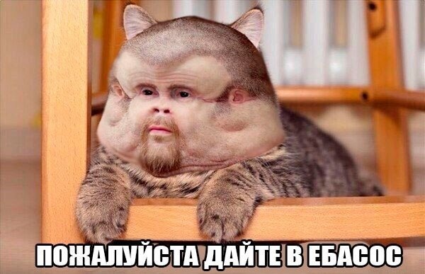 Человек, который не пострадает в ДТП, Мем Грэм, Грэм