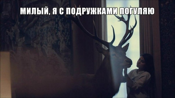 наивный олень, наивный олень вк, наивный олень мем, наивный олень фото, наивный олень картинки
