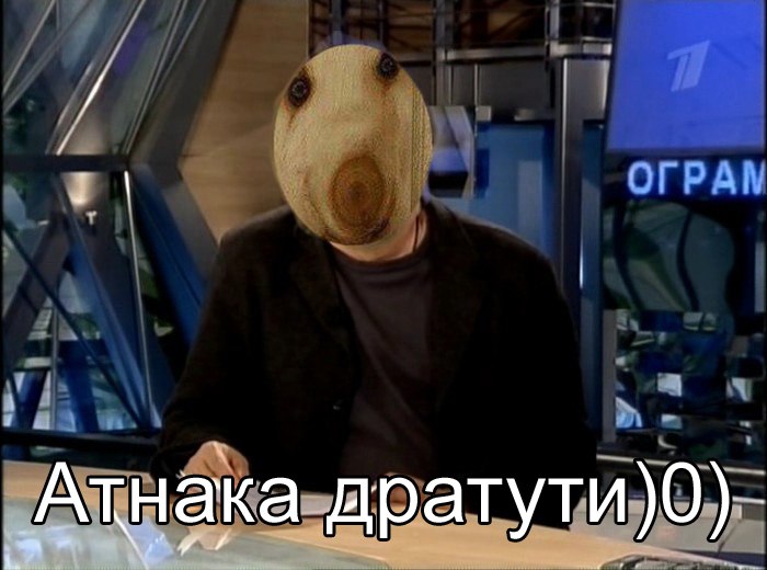 Дратути, дратути мем, дратути шаблон, дратути фото, дратути картинка, что за прикол с дратути, дратути собака