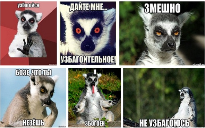 Узбагойся, лемур мем, узбагойся мем