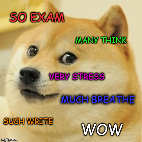 Мем doge, doge meme, мем доге