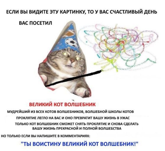 вжух, кот вжух, кот-волшебник,