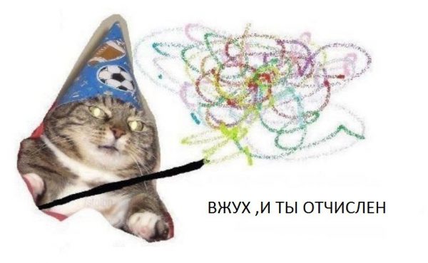 кот вжух