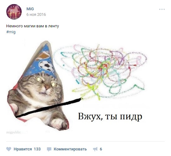 вжух, кот вжух