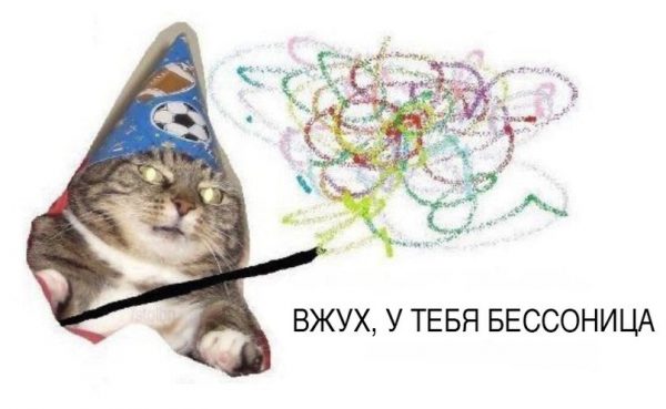 кот вжух
