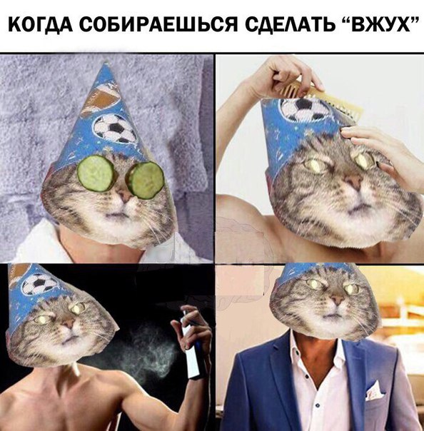 кот вжух