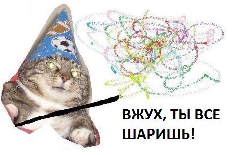 кот вжух