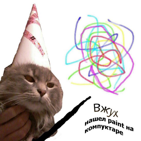 кот вжух