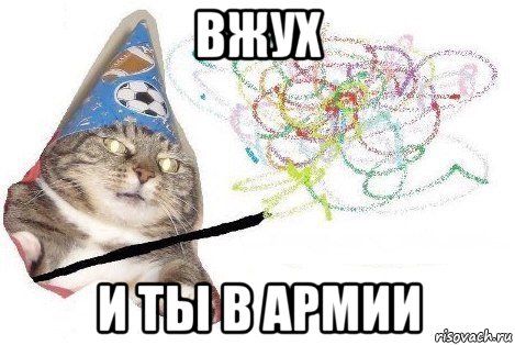 кот вжух