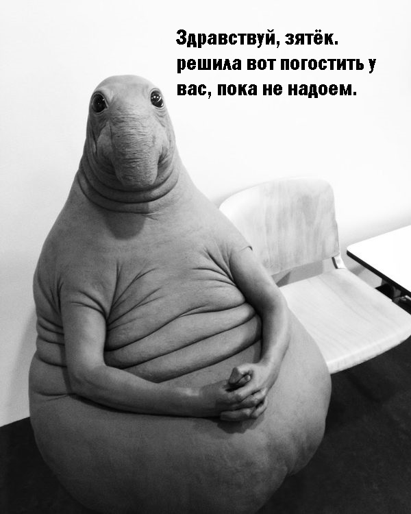 ждун теща