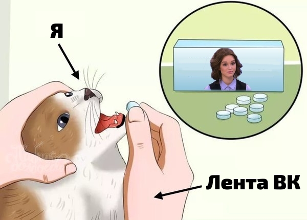 мемы с шурыгиной диана шурыгина на пусть говорят, диана шурыгина, шурыгина, шурыгина диана, диана шурыгина мем, диана шурыгина мем шаблон, диана шурыгина мем оригинал, шурыгина пусть говорят, шурыгина инстаграм, шурыгина ютуб, шурыгина в психушке, шурыгина сейчас, что сейчас с шурыгиной, шурыгина в психушке, мемы с шурыгиной, шурыгина диана мемы