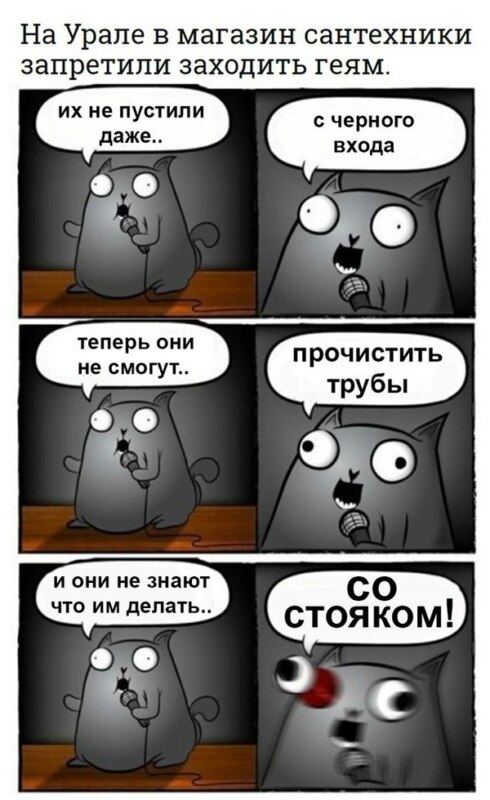 стендап кот, кот стендапер, комикс с котом-стендапером, кот-стендапер приколы, стендап-кот комикс, кот-стендапер комикс, кот стендапер шаблон