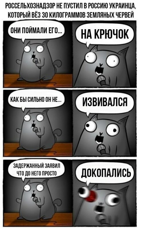 стендап кот, кот стендапер, комикс с котом-стендапером, кот-стендапер приколы, стендап-кот комикс, кот-стендапер комикс, кот стендапер шаблон