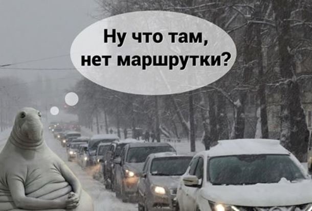 ждун маршрутка