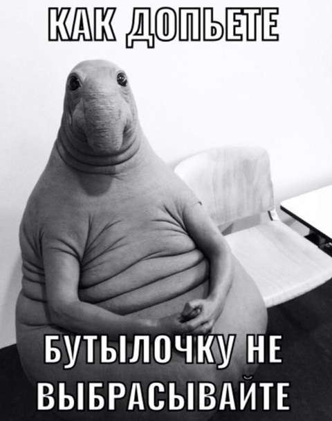 ждун бутылочку не выбрасывайте