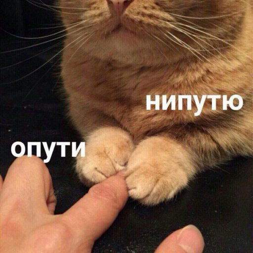 опути непутю шаблон, опути непутю мем, кот держится за палец, мем опути непутю оригинал, опути непутю оригинал