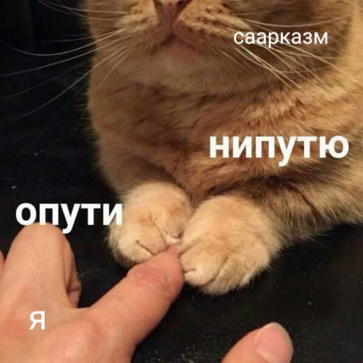 опути непутю мем, мемы опути непутю, опути нипутю, опути нипутю мем, мемы опути нипутю