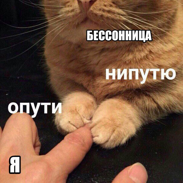пути непутю мем, мемы опути непутю, опути нипутю, опути нипутю мем, мемы опути нипутю