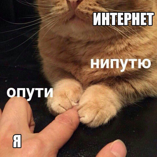 опути непутю мем, мемы опути непутю, опути нипутю, опути нипутю мем, мемы опути нипутю