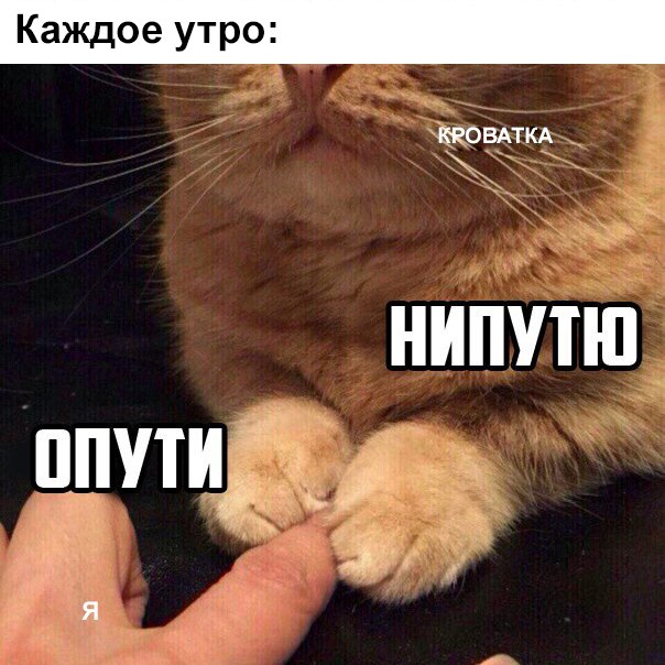 опути непутю мем, мемы опути непутю, опути нипутю, опути нипутю мем, мемы опути нипутю