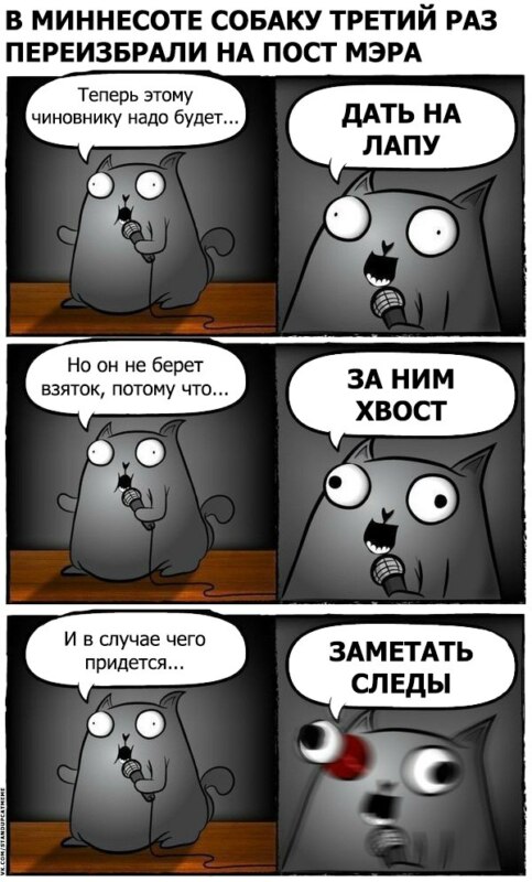 стендап кот, кот стендапер, комикс с котом-стендапером, кот-стендапер приколы, стендап-кот комикс, кот-стендапер комикс, кот стендапер шаблон