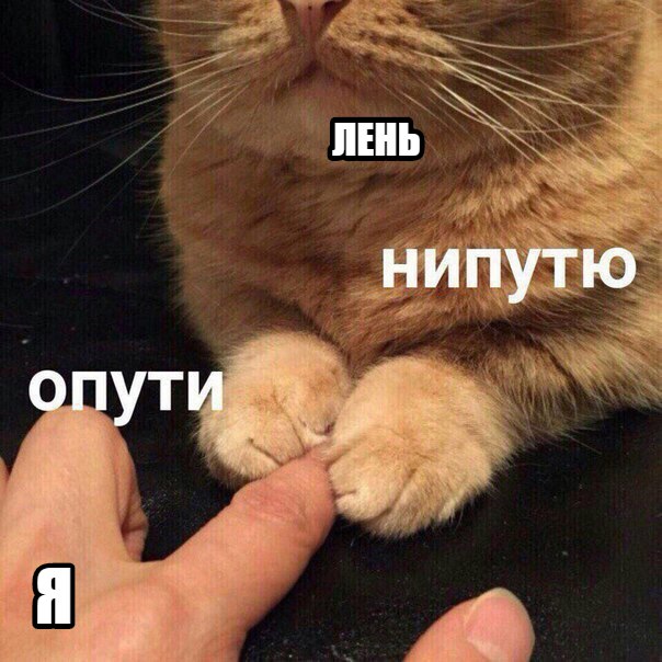 опути непутю мем, мемы опути непутю, опути нипутю, опути нипутю мем, мемы опути нипутю