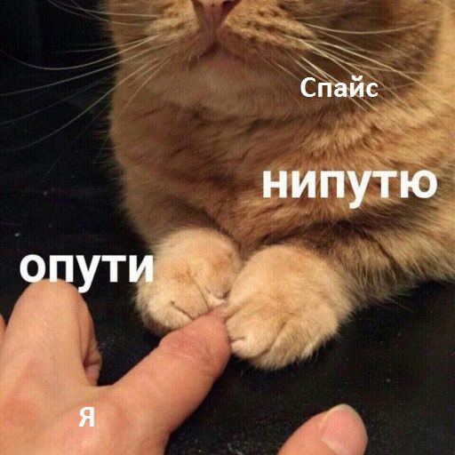 опути непутю мем, мемы опути непутю, опути нипутю, опути нипутю мем, мемы опути нипутю
