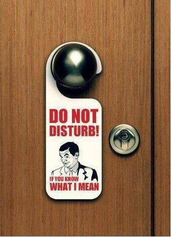 dont disturb mr bean