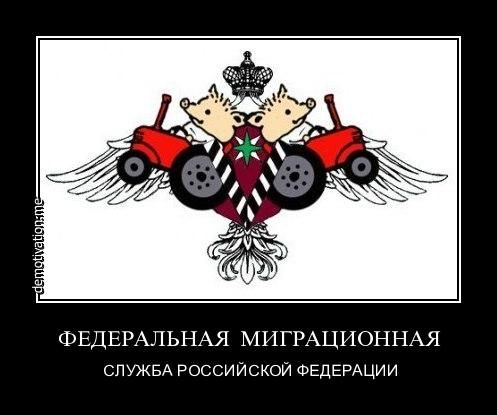 Поросенок Петр демотиваторы, поросенок петр