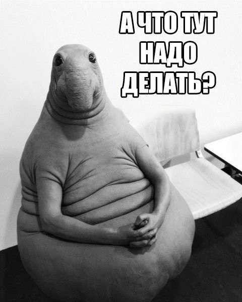 ждун а что тут надо делать