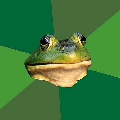 Foul Bachelore frog, жаба холостяк мем, грязная жаба мем, жаба задрот, зеленая жаба мем, мемы с жабой,
