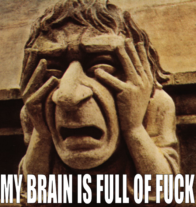 my brain is full of fuck