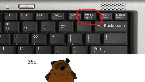вонни збс