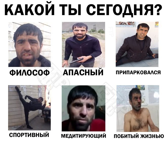 камя пуля, ежжи, мемы кама пуля, кто такой кама пуля, что значит ежжи, что такое ежжи, цитаты кама пуля, кама пуля видео, кама пуля шпагат