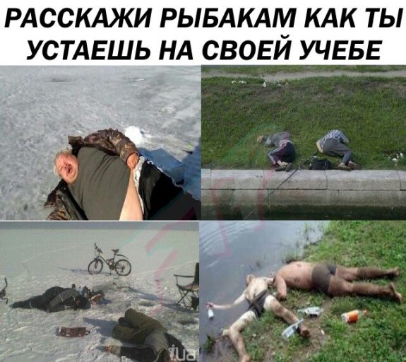 мем батя, мем про батю, мужик на рыбалке, мем нормально, мем нармальна, 