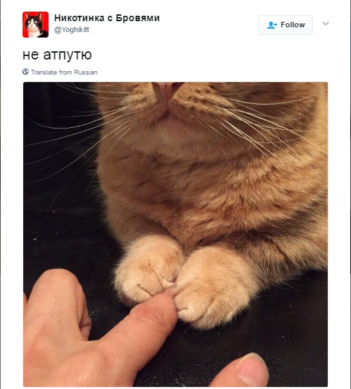 не атпутю, опути не путю, опути не путю мем, мем опути непутю