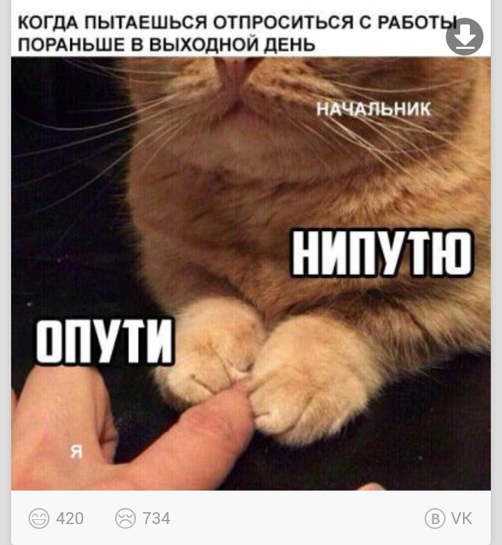 опути непутю мем, мемы опути непутю, опути нипутю, опути нипутю мем, мемы опути нипутю