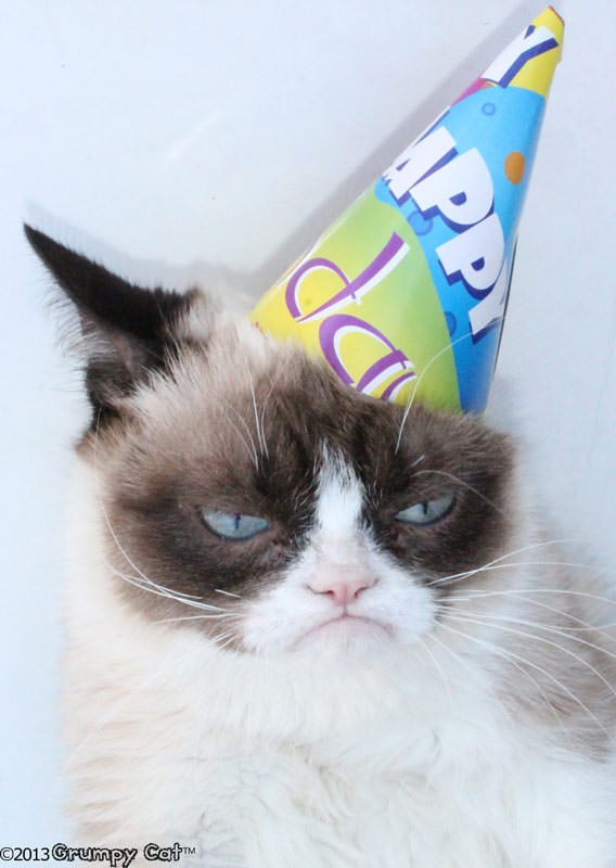 родители Grumpy cat, родители сердитого котика, почему Grumpy cat так выглядит, почему грампи кэт так выглядит, почему сердитый котик так выглядит, почему у сердитого котика такая морда, грампи кэт, грампи кет, Tardar Sauce, tard, tartar sauce, grumpy cat, sad cat. угрюмый кот, сердитый кот, злой кот, печальный кот, сердитый котик, мем с котом, угрюмый кот мем, откуда мем угрюмый кот, откуда мем сердитый кот