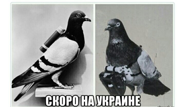 мемы вконтакте, блокировка вконтакте, блокировка вконтакте на украине, блокировка вконтакте в украине, вконтакте заблокировали в украине, одноклассники заблокировали в украине, одноклассники заблокировали на украине, мемы одноклассники, порошенко шутки, порошенко мемы, петр порошенко шутки петр порошенко мемы, клично мемы, кличко шутки, виталий кличко мемы, виталий кличко шутки, как украинцы отреагировали на блокировку вконтакте, блокировка яндекса, яндекс запретили на украине, вконтакте, vk, заборона вконтакті, заборона вконтакті соцмережі, реакція соцмереж на заборону вконтакті, меми вконтакті, петро порошенко, порошенко петро, петро порошенко фотожаби
