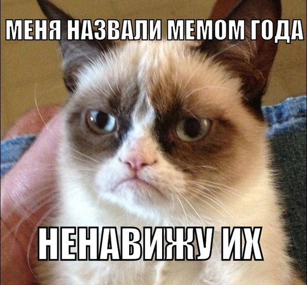 угрюмая кошка, сердитая кошка, грустная кошка, мем нет с котом, родители Grumpy cat, родители сердитого котика, почему Grumpy cat так выглядит, почему грампи кэт так выглядит, почему сердитый котик так выглядит, почему у сердитого котика такая морда, грампи кэт, грампи кет, Tardar Sauce, tard, tartar sauce, grumpy cat, sad cat. угрюмый кот, сердитый кот, злой кот, печальный кот, сердитый котик, мем с котом, угрюмый кот мем, откуда мем угрюмый кот, откуда мем сердитый кот