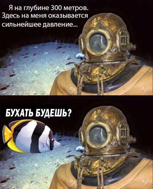 Я на глубине 300 метров Здесь на меня оказывается сильнейшее давление, Я на глубине 300 метров, на меня оказывается сильнейшее давление, водолаз мем, дайвер мем, водолаз и рыбка, водолаз в старом скафандре мем, аквалангист мем, аквалингист и рыбка мем, комикс с рыбкой и аквалангистом, wanna try drugs, откуда мем с аквалангистом и рыбкой, откуда мем с водолазом и рыбкой