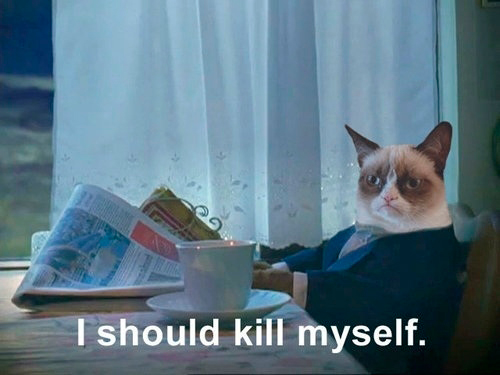 угрюмая кошка, сердитая кошка, грустная кошка, мем нет с котом, родители Grumpy cat, родители сердитого котика, почему Grumpy cat так выглядит, почему грампи кэт так выглядит, почему сердитый котик так выглядит, почему у сердитого котика такая морда, грампи кэт, грампи кет, Tardar Sauce, tard, tartar sauce, grumpy cat, sad cat. угрюмый кот, сердитый кот, злой кот, печальный кот, сердитый котик, мем с котом, угрюмый кот мем, откуда мем угрюмый кот, откуда мем сердитый кот