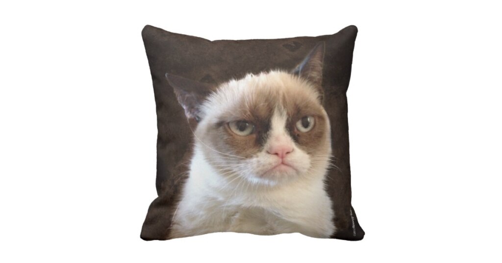 угрюмая кошка, сердитая кошка, грустная кошка, мем нет с котом, родители Grumpy cat, родители сердитого котика, почему Grumpy cat так выглядит, почему грампи кэт так выглядит, почему сердитый котик так выглядит, почему у сердитого котика такая морда, грампи кэт, грампи кет, Tardar Sauce, tard, tartar sauce, grumpy cat, sad cat. угрюмый кот, сердитый кот, злой кот, печальный кот, сердитый котик, мем с котом, угрюмый кот мем, откуда мем угрюмый кот, откуда мем сердитый кот