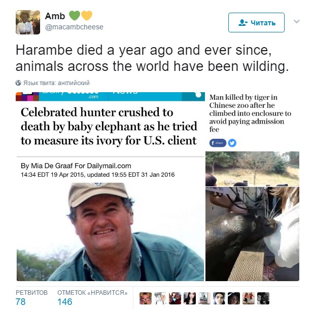 harambe, харамбе, харамбе год
