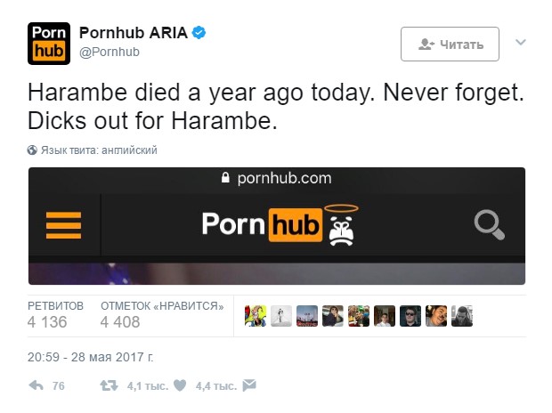 harambe, харамбе, харамбе год