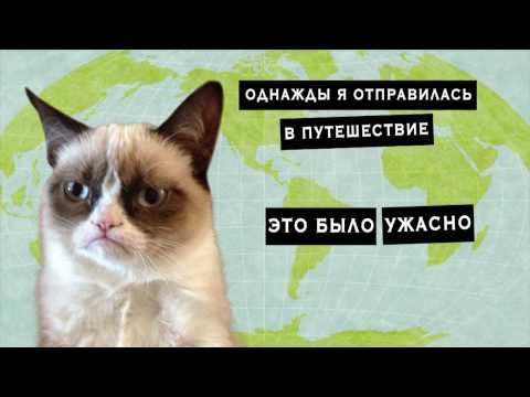 угрюмая кошка, сердитая кошка, грустная кошка, мем нет с котом, родители Grumpy cat, родители сердитого котика, почему Grumpy cat так выглядит, почему грампи кэт так выглядит, почему сердитый котик так выглядит, почему у сердитого котика такая морда, грампи кэт, грампи кет, Tardar Sauce, tard, tartar sauce, grumpy cat, sad cat. угрюмый кот, сердитый кот, злой кот, печальный кот, сердитый котик, мем с котом, угрюмый кот мем, откуда мем угрюмый кот, откуда мем сердитый кот
