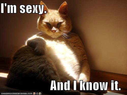 i'm sexy and i know it макрос